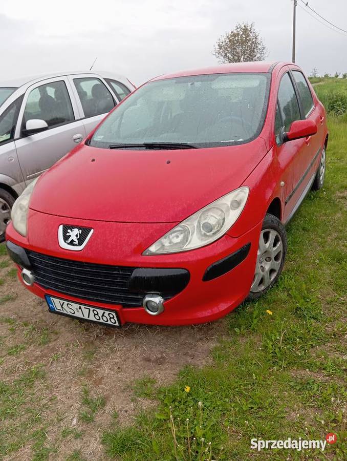 Peugeot 307 Rok produkcji 2005 lubelskie Krasnystaw