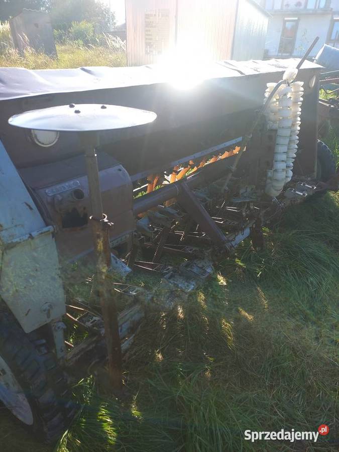 Siewnik podkarpackie Jarosław sprzedam
