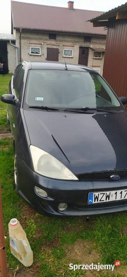 Focus mk1 18benzyna 245 Zwoleń sprzedam