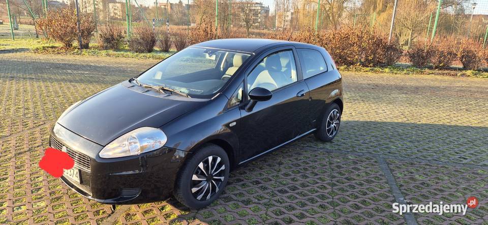 Fiat Punto Szczecin