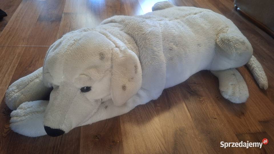 Duża maskotka pies poduszka pluszak leżący 111 lubuskie Zielona Góra