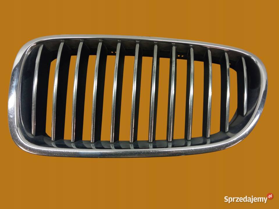 ATRAPA GRILL NERKA LEWA Bmw Seria 5 VI 2010 Atrapy