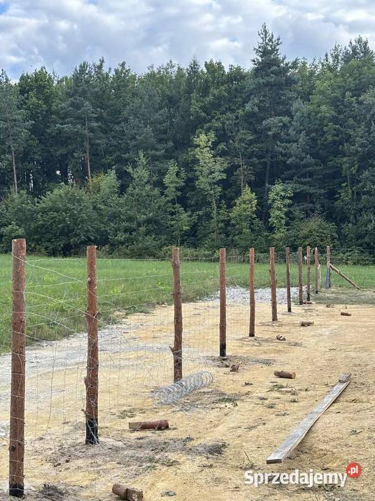 Usługi ogrodnicze i nie Taniej niz u konkurencji Usługi małopolskie Rozkochów