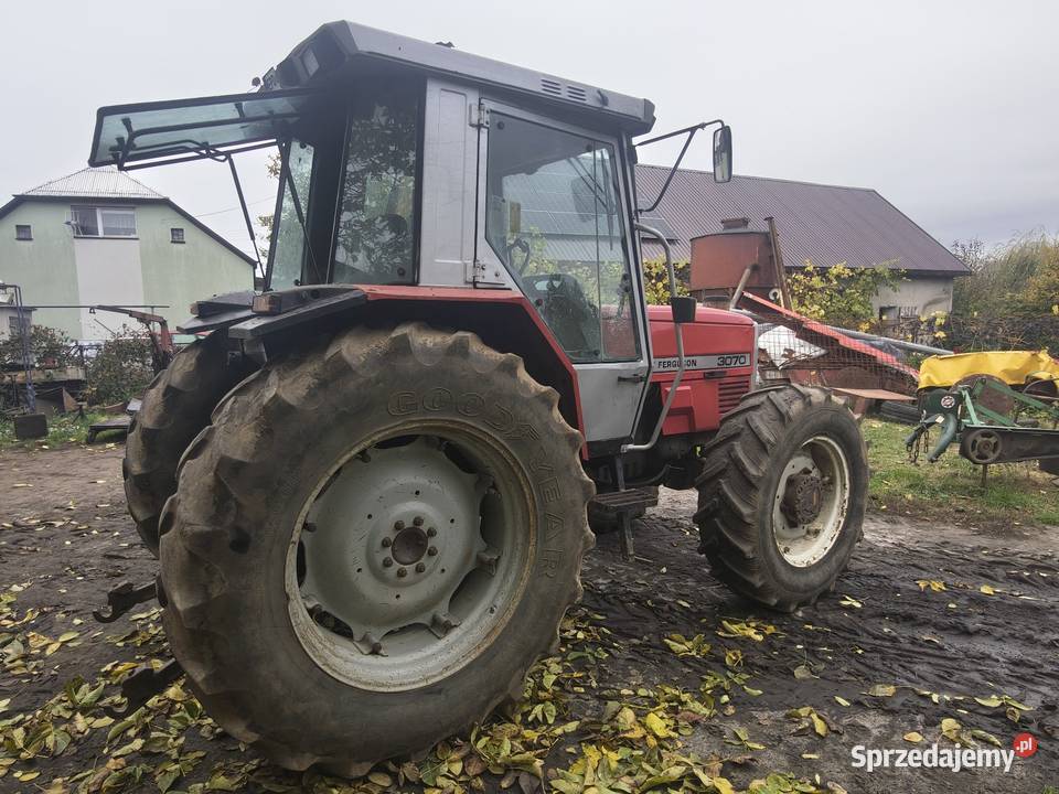 MF Massey Ferguson 3070 łódzkie Uniejów