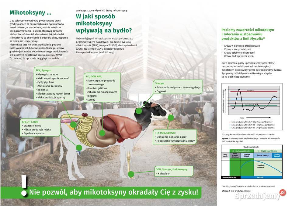 Mycofix Select 3E preparat na mykotoksyny w Karmy i pasze Strzelce Wielkie sprzedam