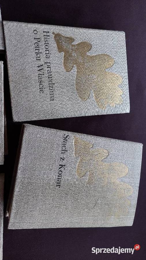 JI Kraszewski Pogrobek Stach z KonarKraków Pabianice