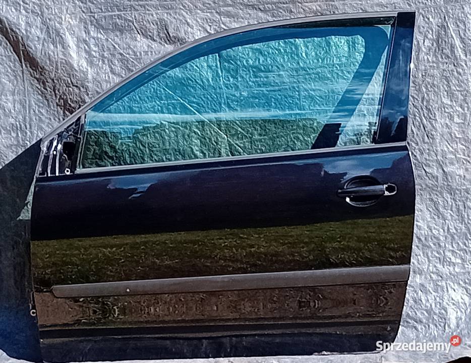 Drzwi prawe lewe VW Polo 9n LC9Z Nysa