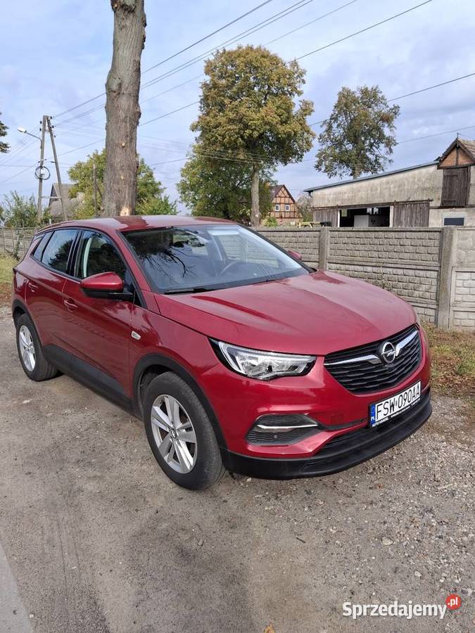 Opel Grankand 49567 przebieg Dąbrówka Wielkopolska