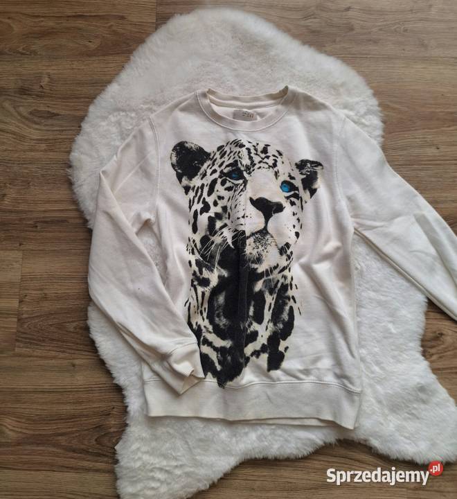 Dziecięca biała bluza z gepardem Zara boys Kraków