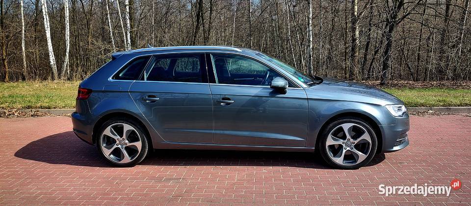 Audi A3 16 TDI CR 110 super stan techniczny elektrochrom. lusterka boczne Czeladź