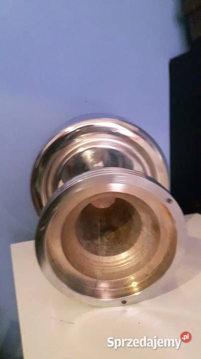 Gromnica ogromna Warszawa