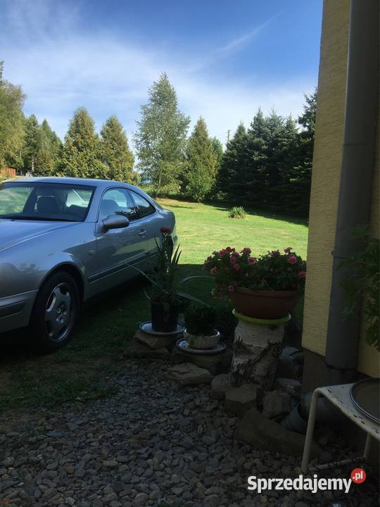 Mercedes clk światła przeciwmgielne Gorlice