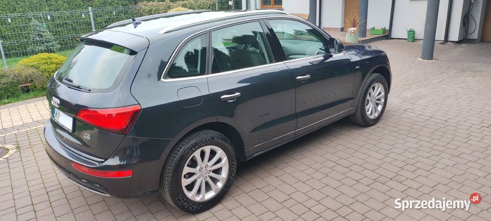 Audi Q5 20Tdi 190 Automat 4x4 2016 Navi 176 Samochody osobowe Seroki-Parcela