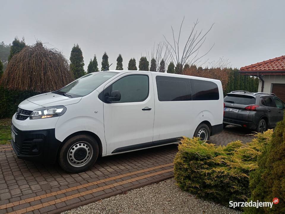 Opel Vivaro MAŁY PRZEBIEG wersja long diesel Głodno