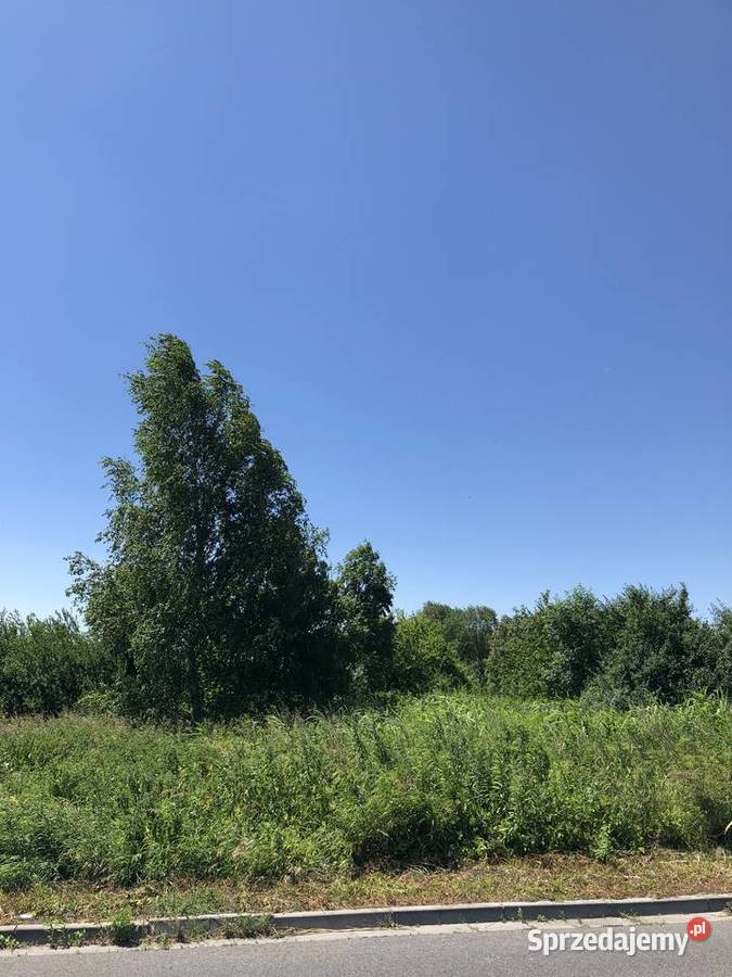 Działka 603 m na sprzedaż Szczekociny Nowa