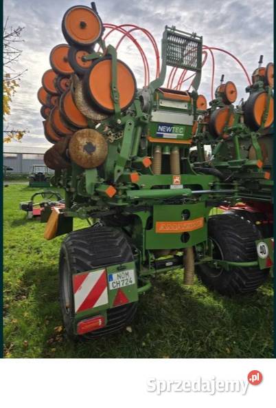 Siewni do kukurydzy Amazone ed x 6000 TC 8 Szprotawa sprzedam