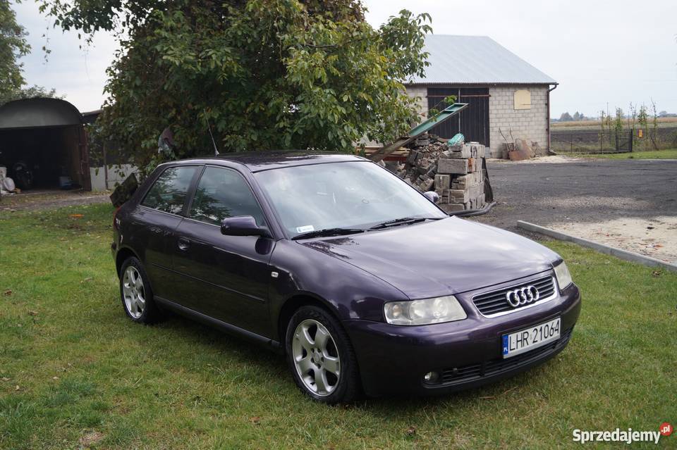 Audi A3 19 TDI 130 Hrubieszów
