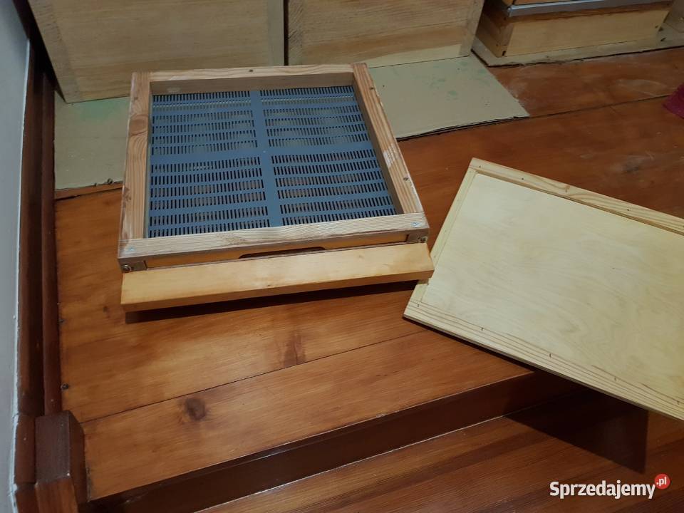 Rodziny i odklady pszczele Sklenar G10 i H47 Sucha Beskidzka