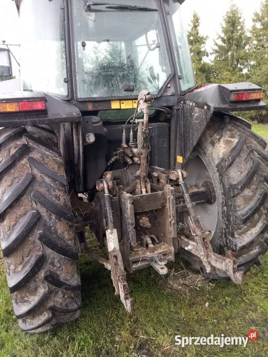 Massey Ferguson Marchocice sprzedam