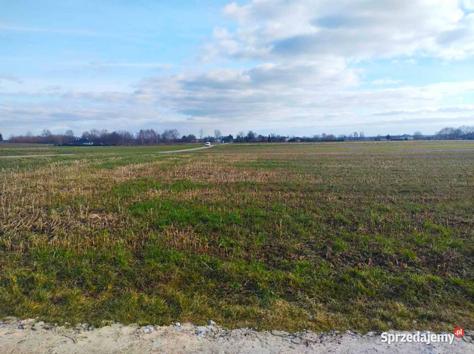 Działka Palikije Drugie 1800m2