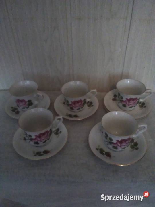 Zestaw porcelanowy 5 Filiżanek Duet Róże Świdnica