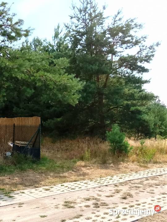 Działka budowlana morzem Smołdzino warunki