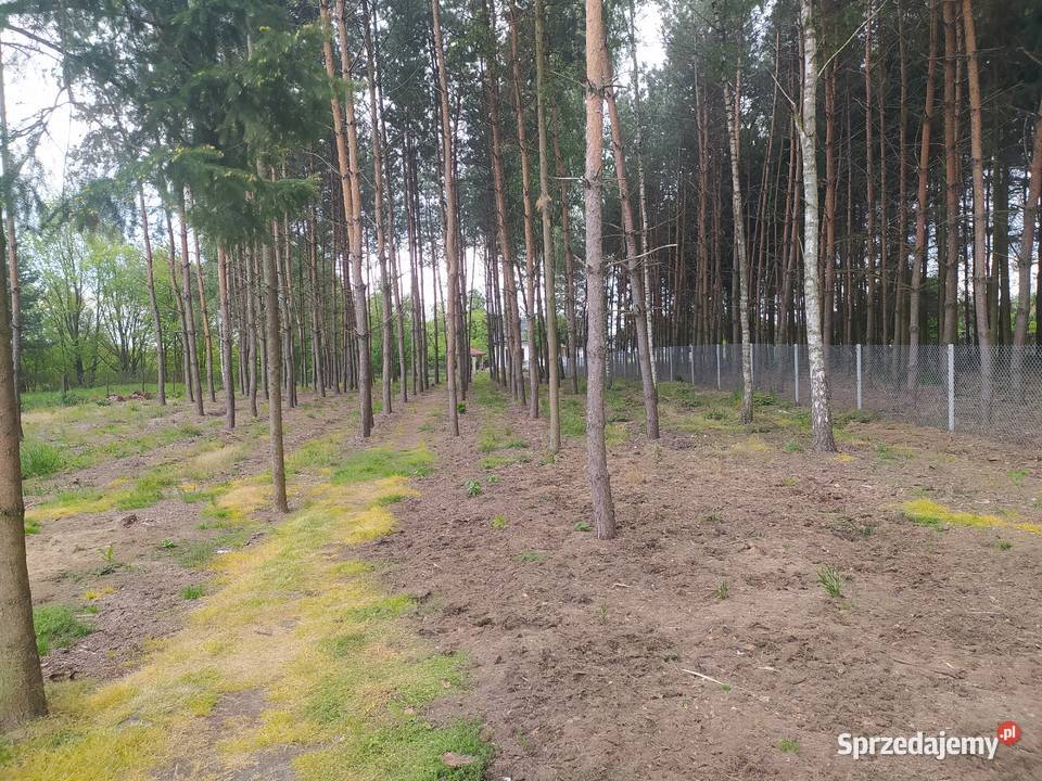 Działka rekreacyjna budowlana polna Radomsko