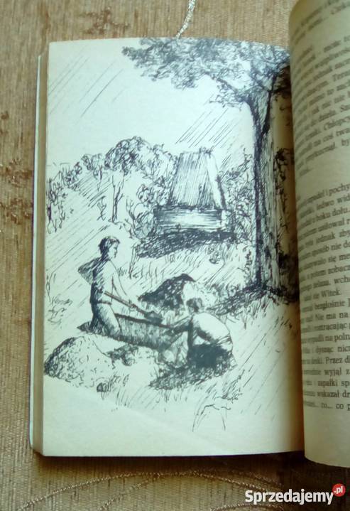 WITEK POSZUKIWACZEM SKARBÓW Andrzej WYDMIŃSKI Proza i poezja Parczew