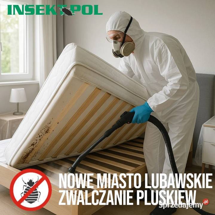 Zwalczanie pluskiew Nowe Miasto Lubawskie warmińsko-mazurskie
