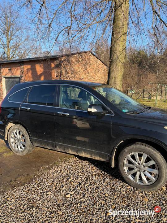 Honda CR V 2010 r Rok produkcji 2010 Częstochowa