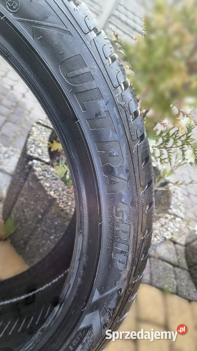 GOODYEAR UltraGrip Performance 25540 R19 4