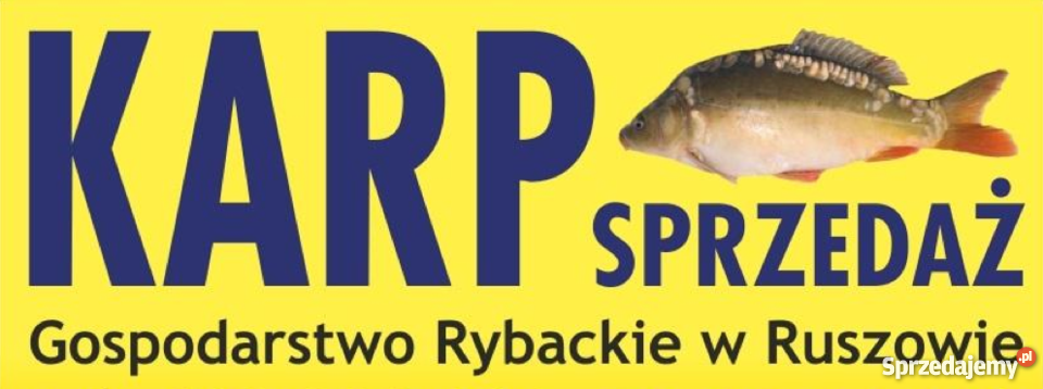 Świeży Karp na Święta ze wsi prosto producenta z Wrocław