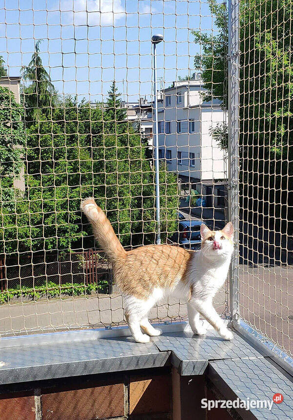 Montaż siatka kota na balkon Pozostałe Warszawa