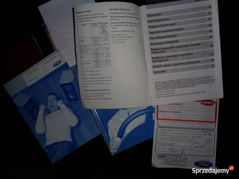 Super Transit z Kwiaciarni dolnośląskie Trzebnica