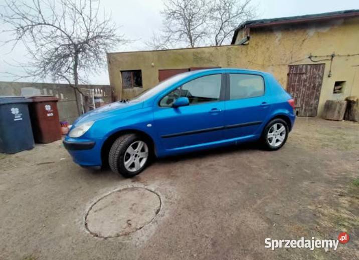 Peugeot 307 16HDI 110 wielkopolskie Września sprzedam