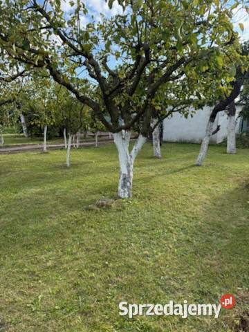 DZIAŁKA ROD jezioro Sprzedam Śrem