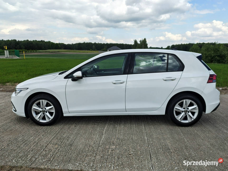 Volkswagen Golf Hatchback LIFE 15 TSI 130 Salon Włocławek
