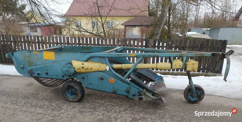 Kopaczka do ziemniaków Elewatorowa 2rzędowa małopolskie Dąbrowa Tarnowska