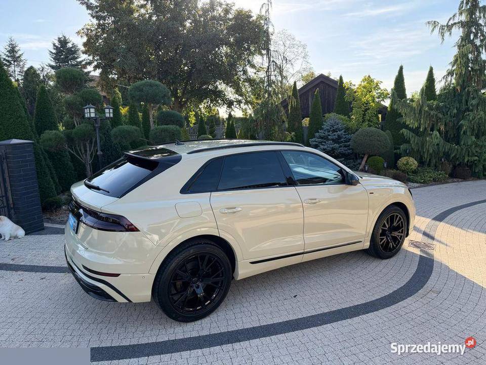Audi Q8 50 TDI mHEV Quattro Tiptronic 286 2019r