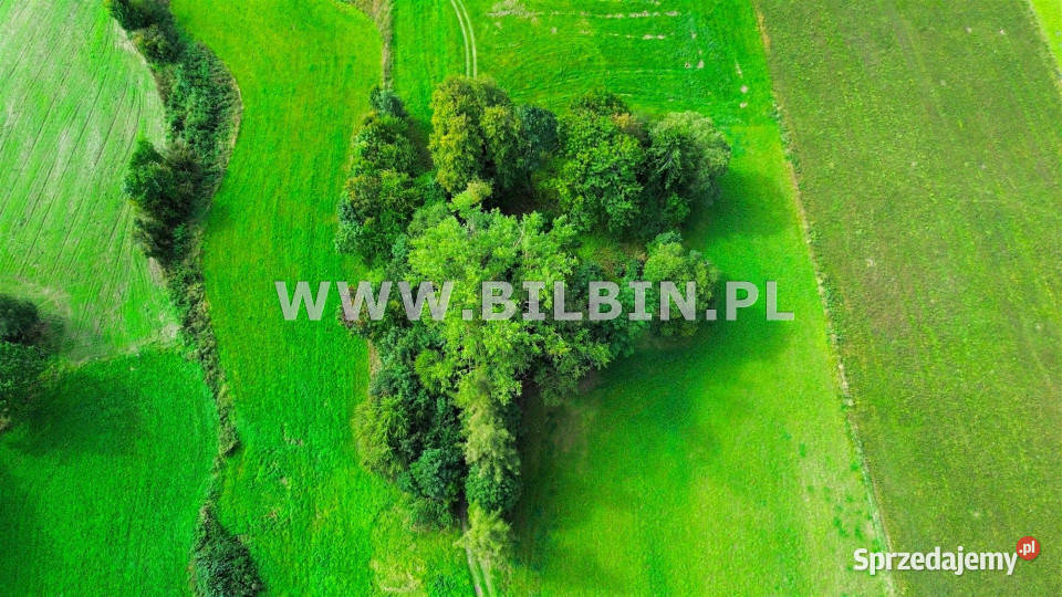 Działka Stara Dębszczyzna 46512m2