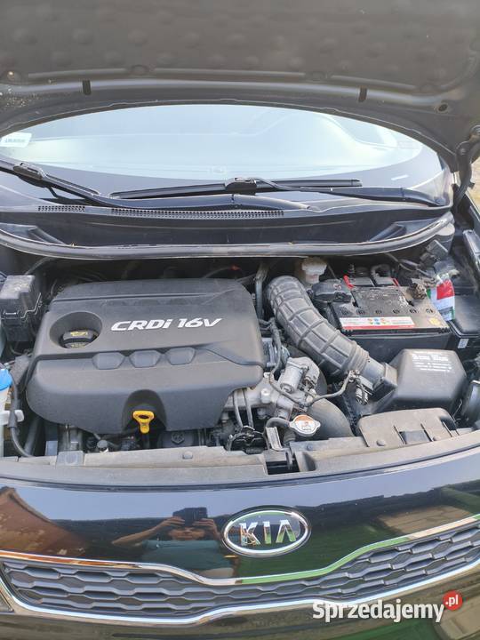 Kia Rio 3 Różaniec