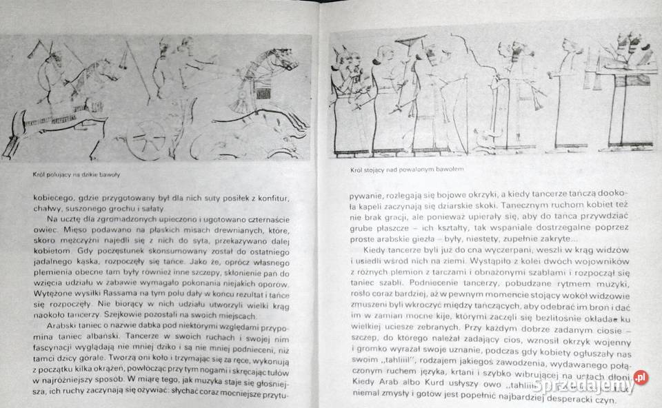 W poszukiwaniu Niniwy Austen Henry Layard Chełm