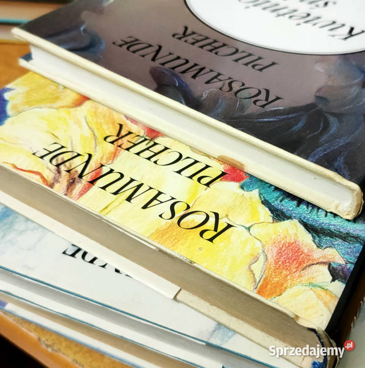 Pilcher 4 książki Pusty dom czas burzy dziki śląskie Sosnowiec sprzedam