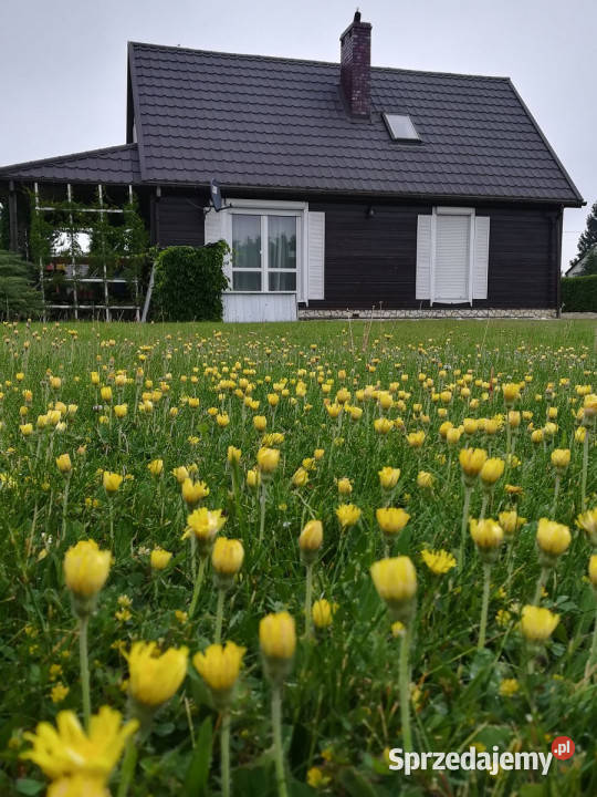 Dom wolnostojący CzerwonkaGozdów 130m2 lubelskie Czerwonka-Gozdów sprzedam
