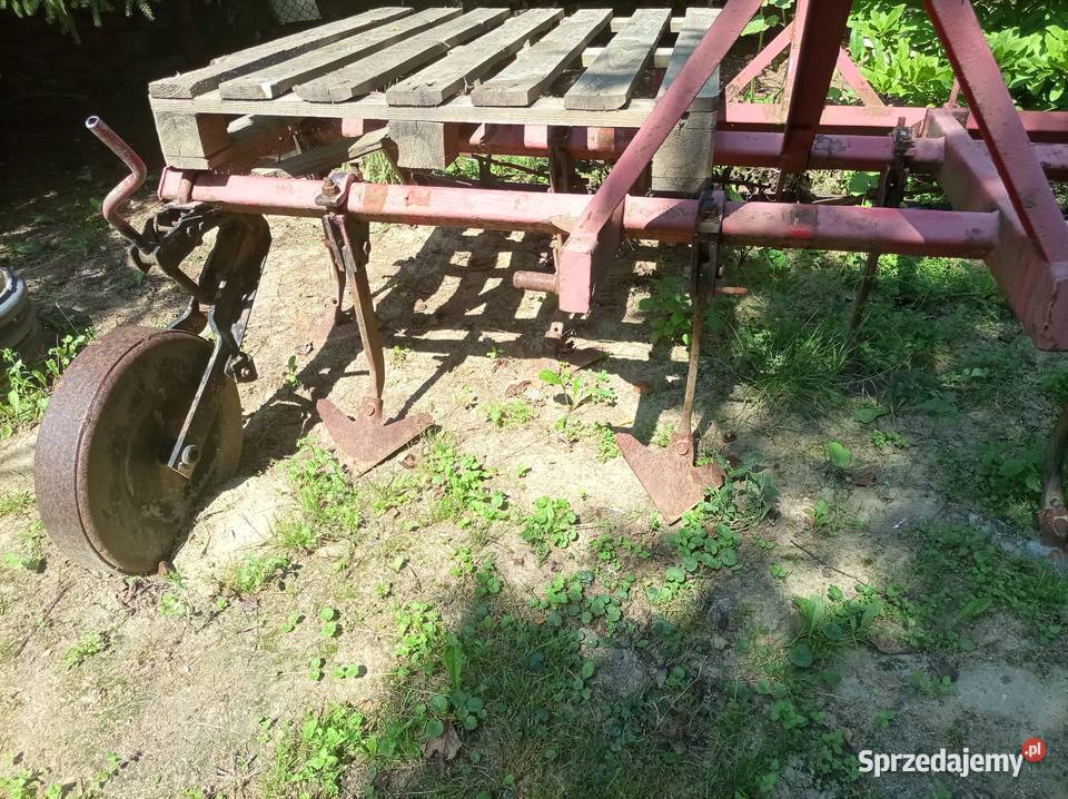 Gruber ścierniskowy 240 metra szerokości Klimontów