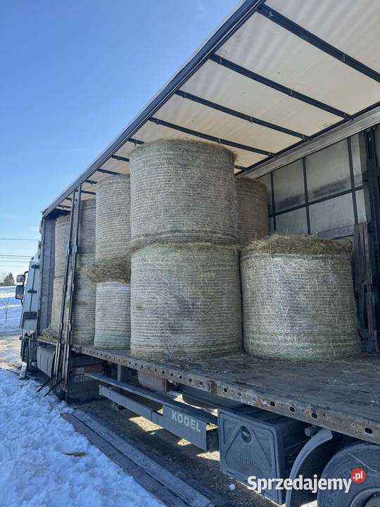 Siano Bele siana 120x130 TRANSPORT