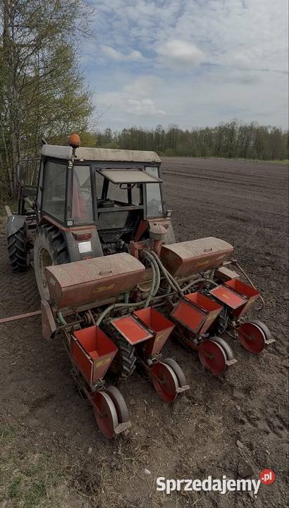 Siewnik do kukurydzy BECKER 4 rzędy podlaskie sprzedam