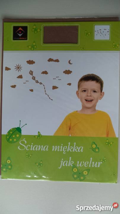 Dekoracje welurowe a ścianę inne powierzchnie Wyposażenie wnętrz Łódź