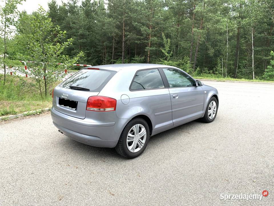 Audi A3 8P 19 TDI 105 BEZ DPF A3 sprzedam
