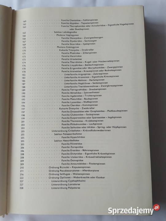 URANIA TIERREICH Annelida bis Chaetognatha